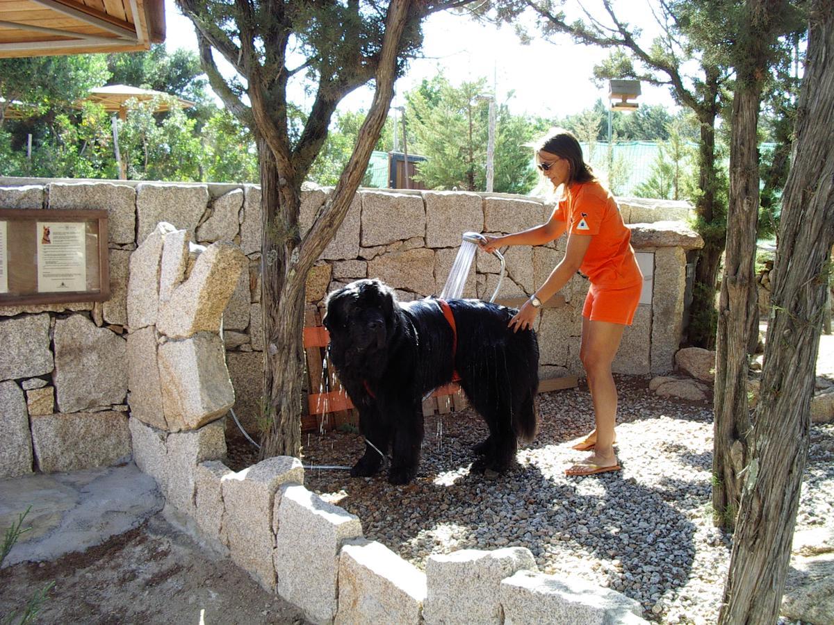 Residenza Capriccioli Aparthotel Πόρτο Τσέρβο Εξωτερικό φωτογραφία